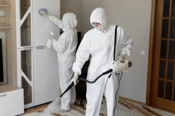 Mold Testing and Removal in Bellevue, ID